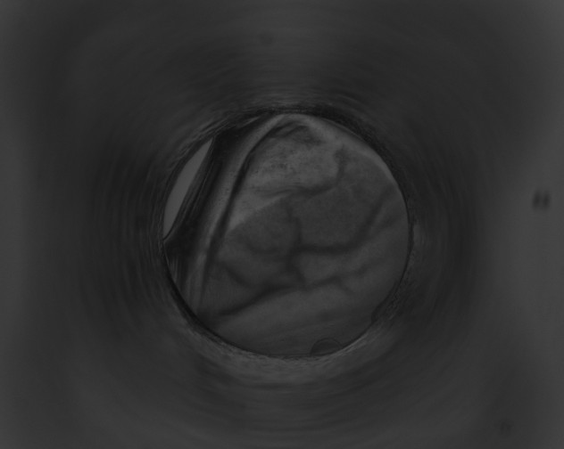 X0000091900048200710031211