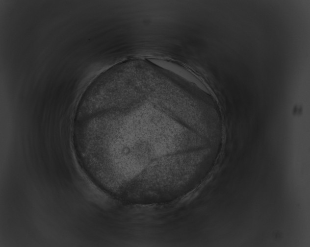 X0000091900049200710031210