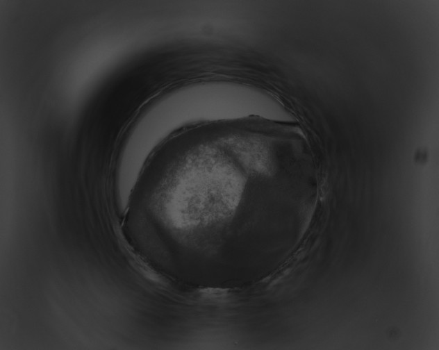 X0000091900052200710031210