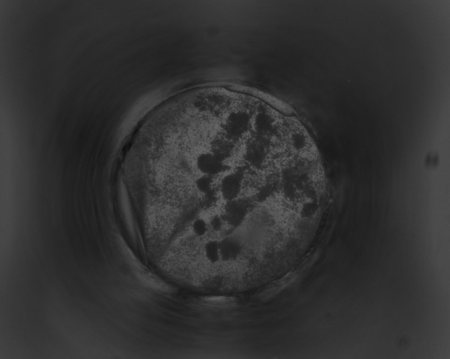 X0000091900053200710031210