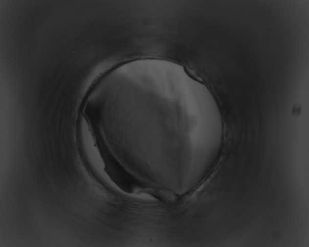 X0000091900054200710031210