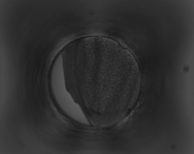 X0000091900055200710031210