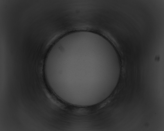 X0000091900058200710031211