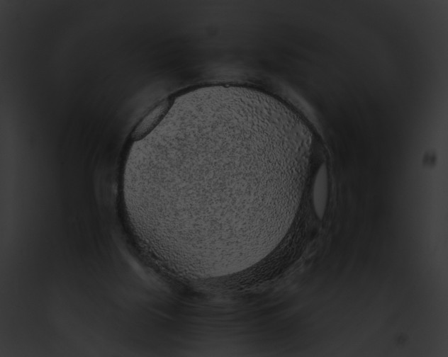 X0000091900059200710031211