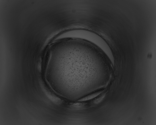 X0000091900064200710031211