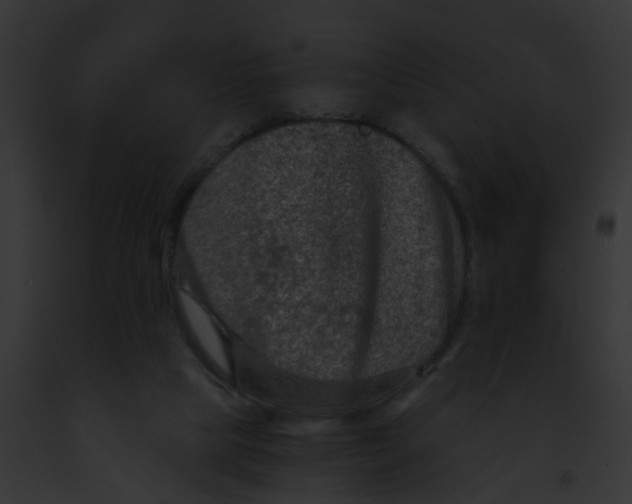 X0000091900065200710031211