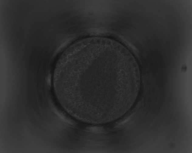 X0000091900067200710031211