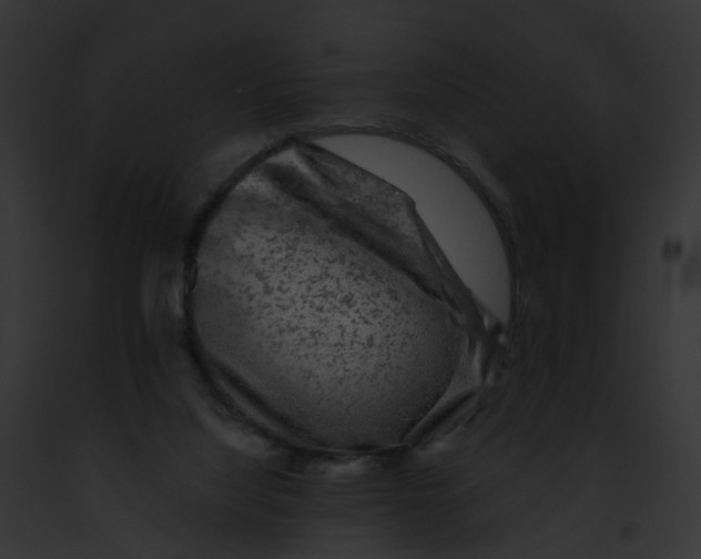 X0000091900068200710031211