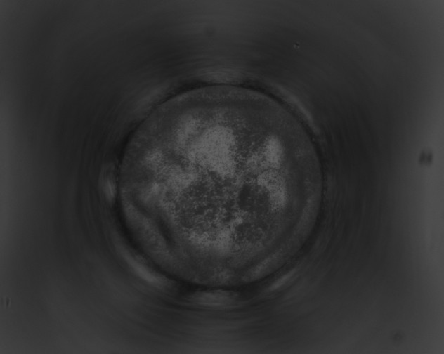 X0000091900069200710031211