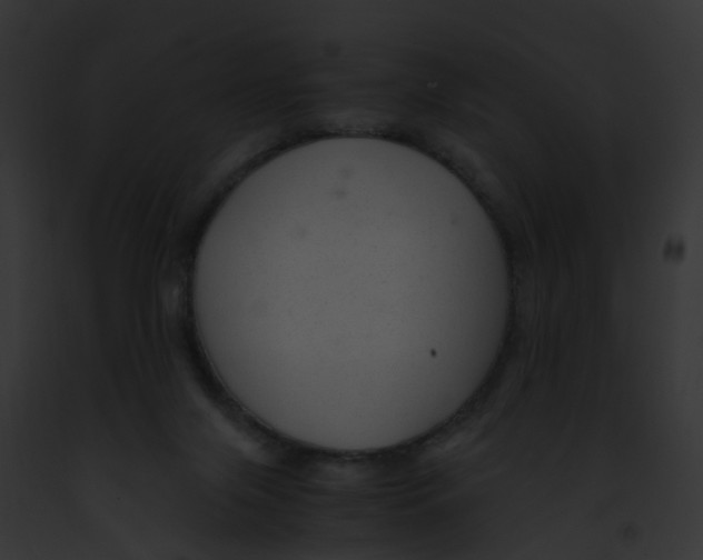 X0000091900071200710031211