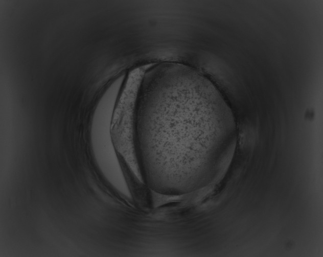 X0000091900072200710031211