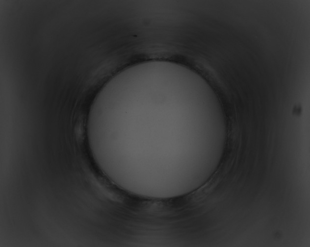 X0000091900074200710031211