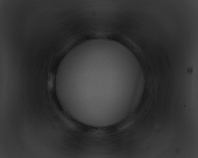 X0000091900075200710031211