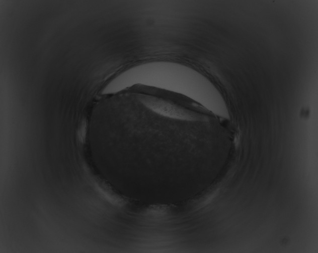 X0000091900076200710031211