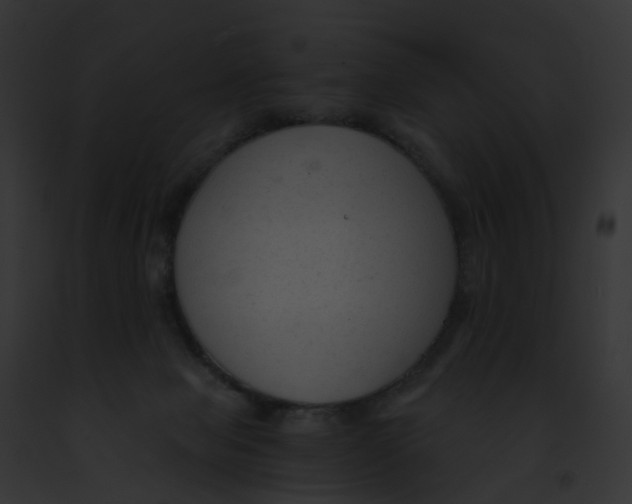 X0000091900077200710031211