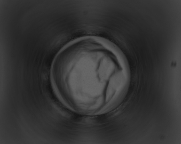 X0000091900078200710031211