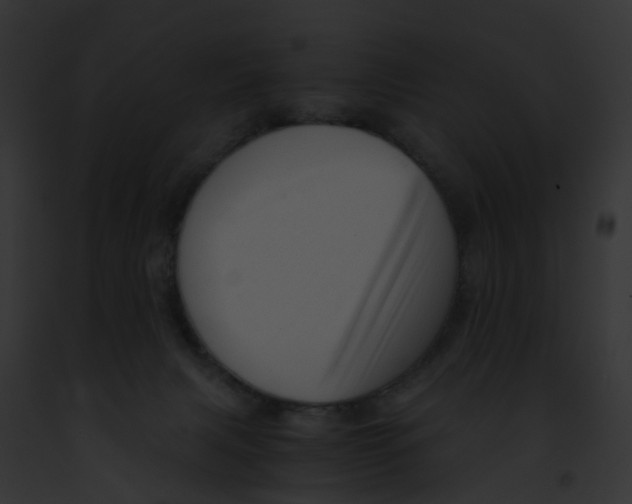 X0000091900079200710031211