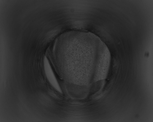 X0000091900080200710031211