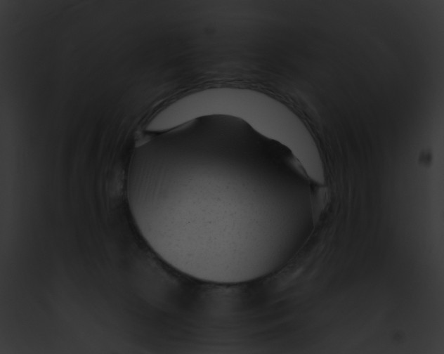 X0000091900081200710031211