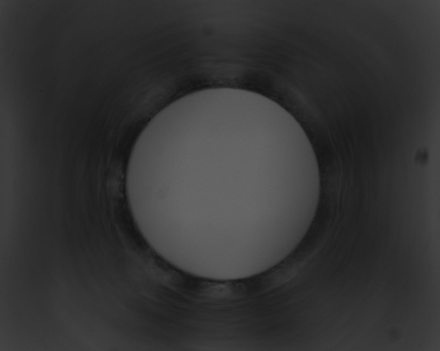 X0000091900083200710031211