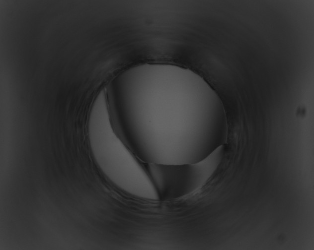 X0000091900084200710031211