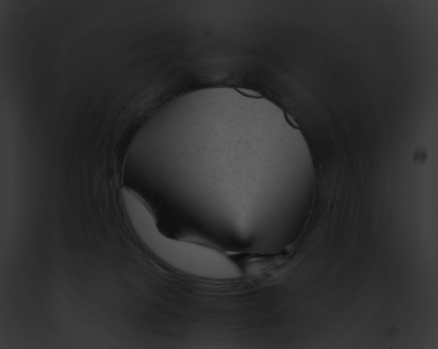 X0000091900085200710031211