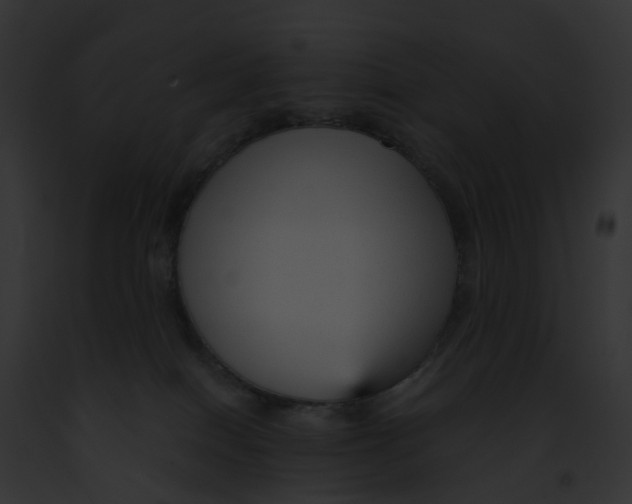 X0000091900086200710031211