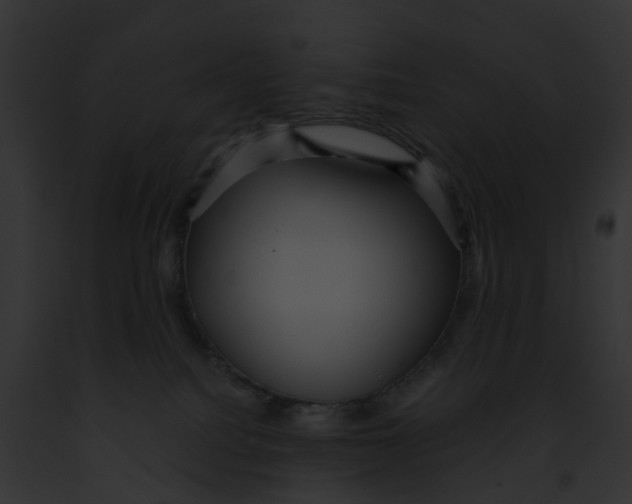 X0000091900088200710031211