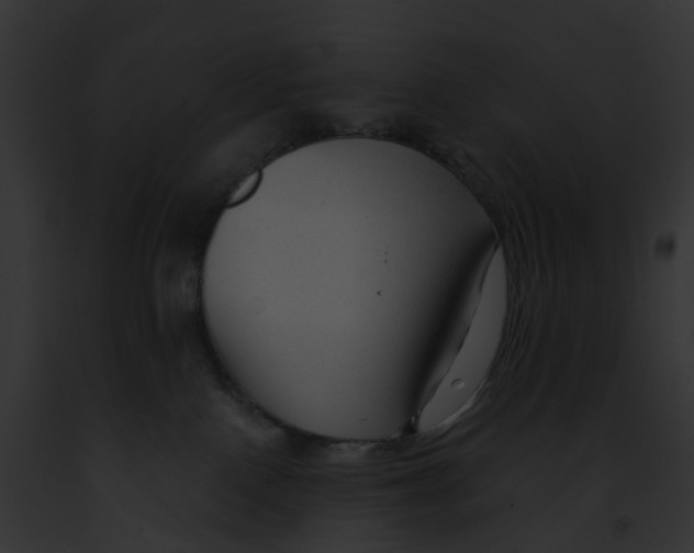 X0000091900090200710031211