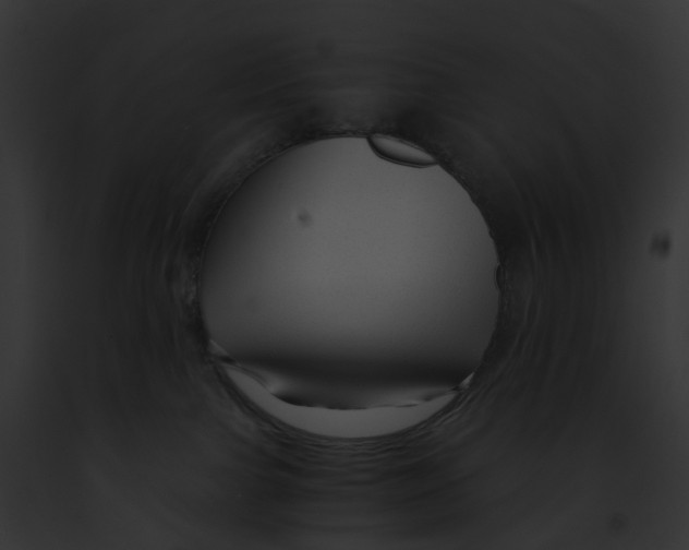 X0000091900091200710031211