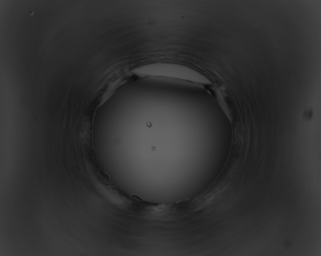 X0000091900092200710031211