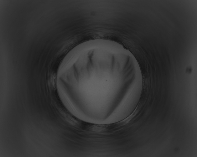 X0000091900094200710031211