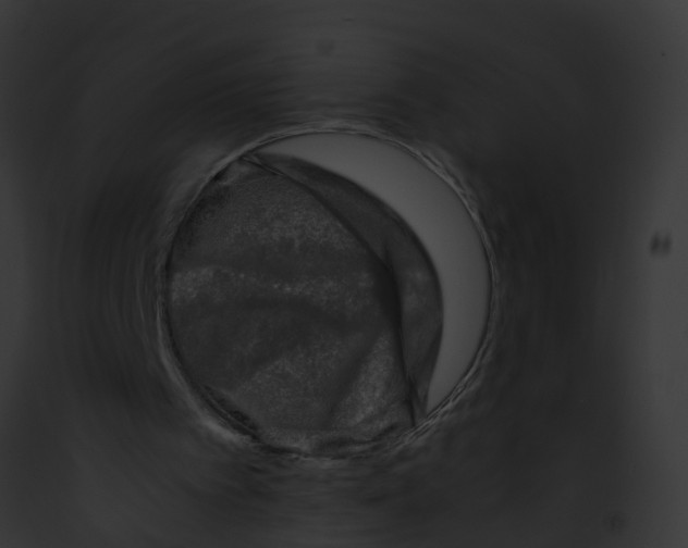 X0000091900097200710031210