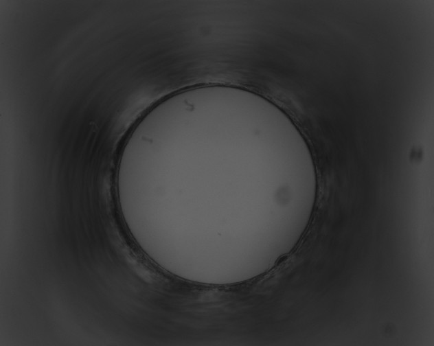 X0000091900098200710031210