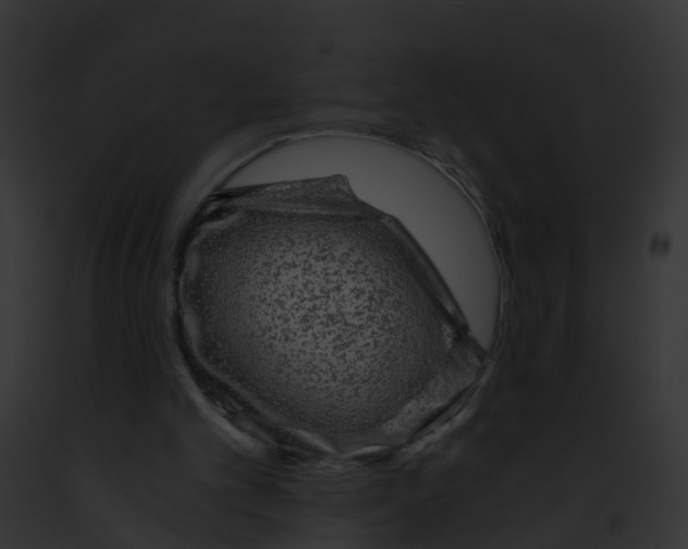 X0000091900101200710031210