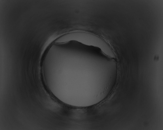 X0000091900102200710031210