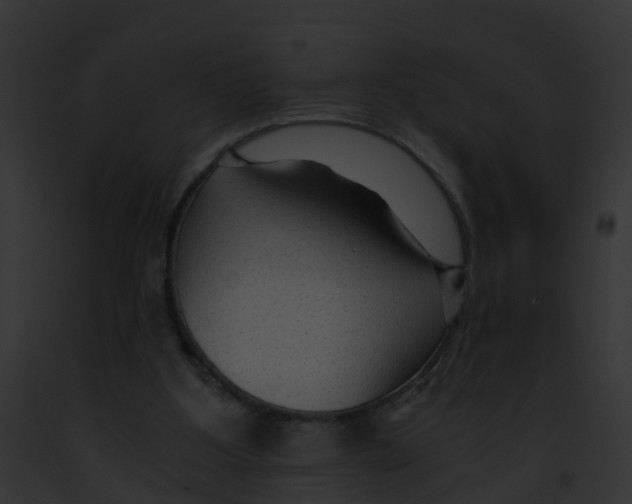 X0000091900107200710031210