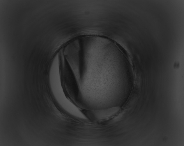 X0000091900109200710031210