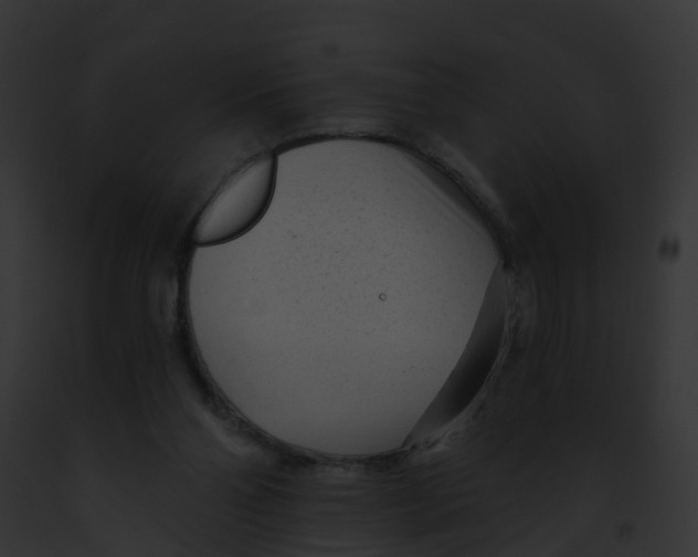 X0000091900110200710031210