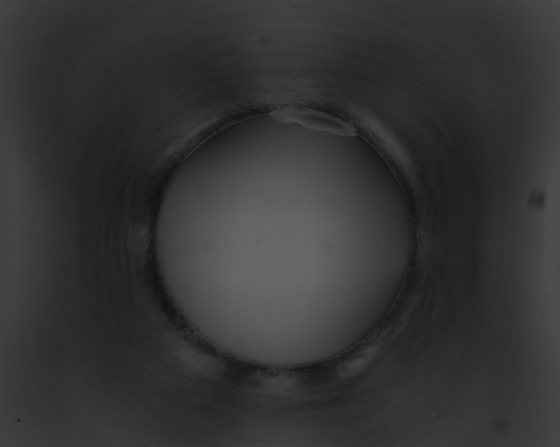 X0000091900113200710031210