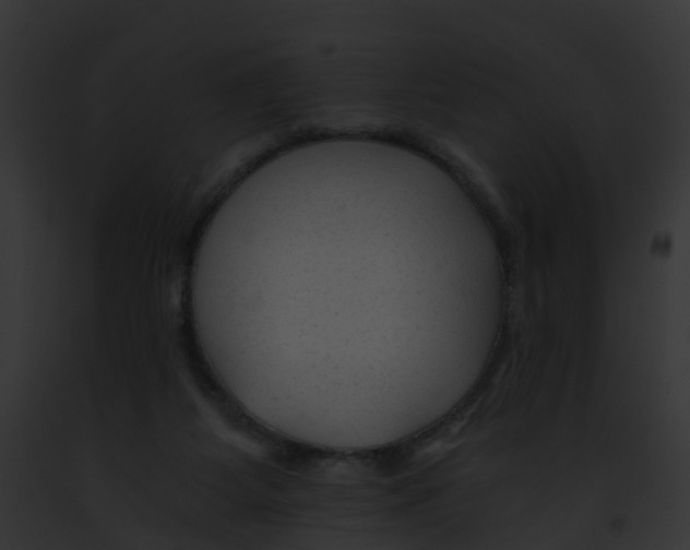 X0000091900115200710031210