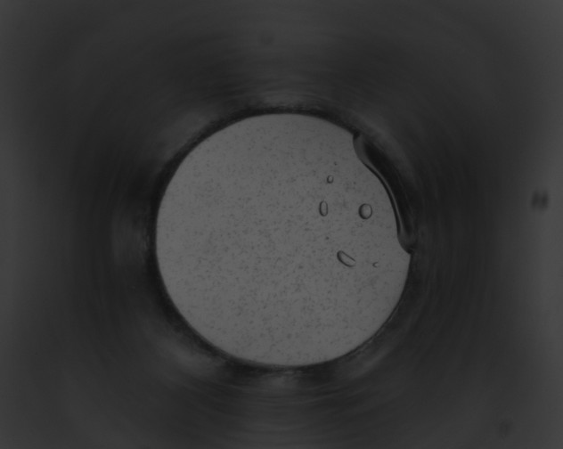 X0000091900116200710031210