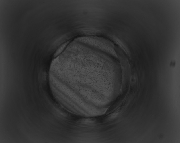 X0000091900117200710031210