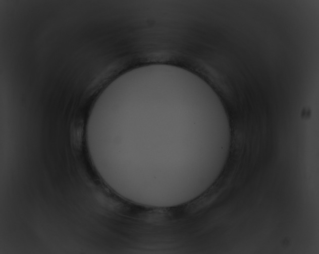 X0000091900118200710031210