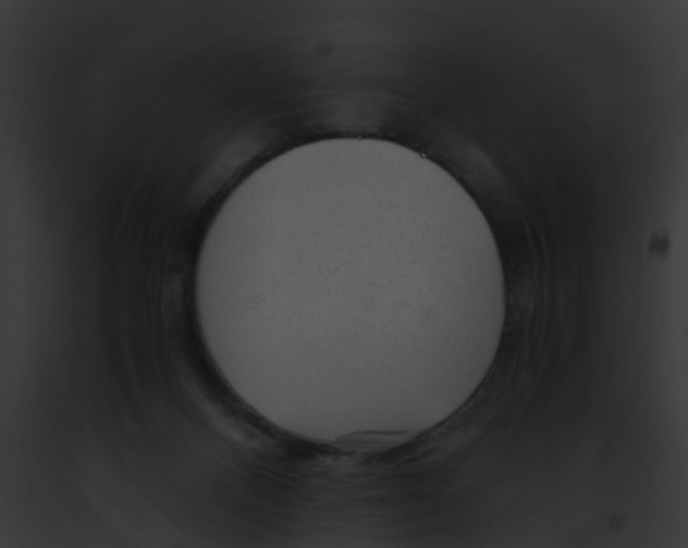 X0000091900120200710031210