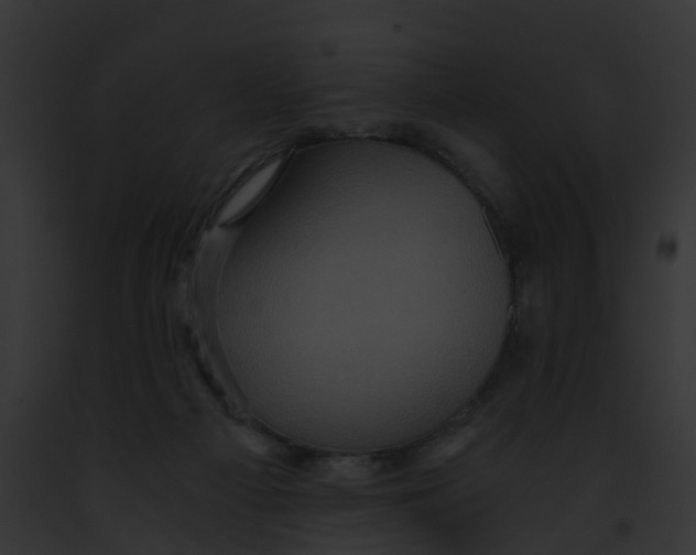 X0000091900121200710031210