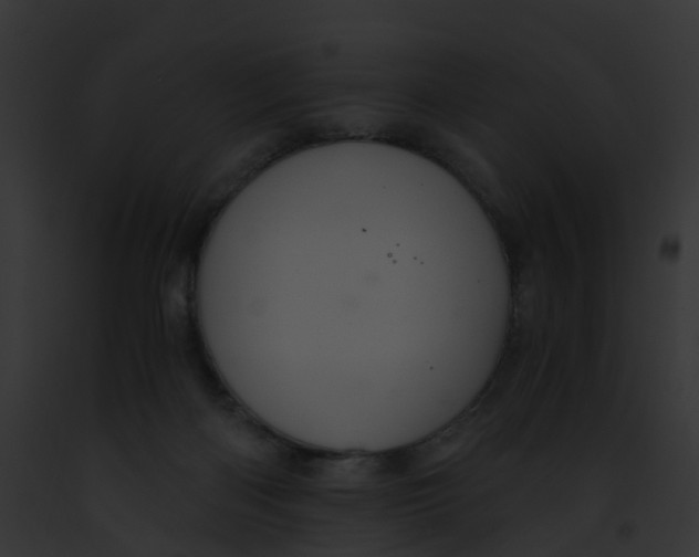 X0000091900122200710031210