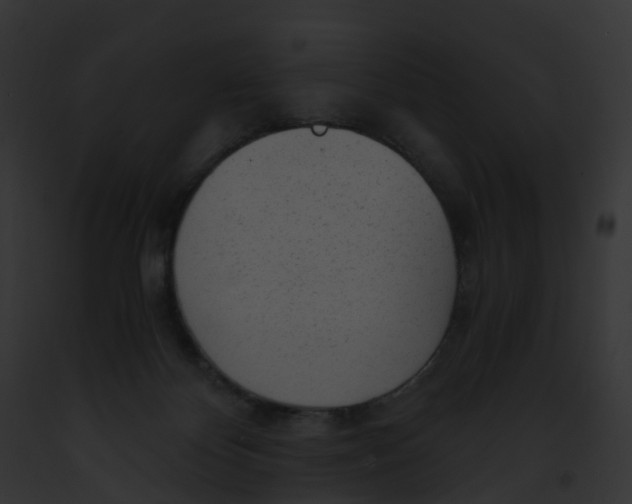 X0000091900124200710031210