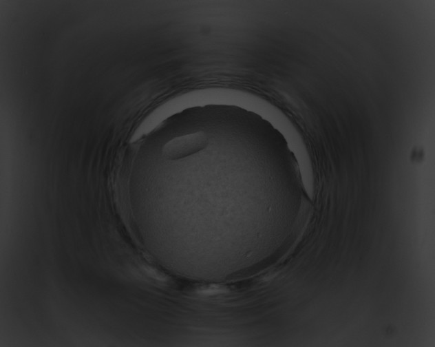 X0000091900125200710031210