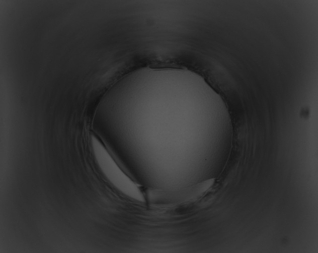 X0000091900129200710031210